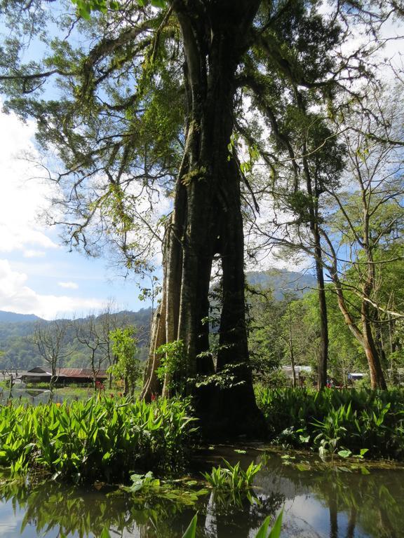 Terrasse Du Lac Munduk Dış mekan fotoğraf
